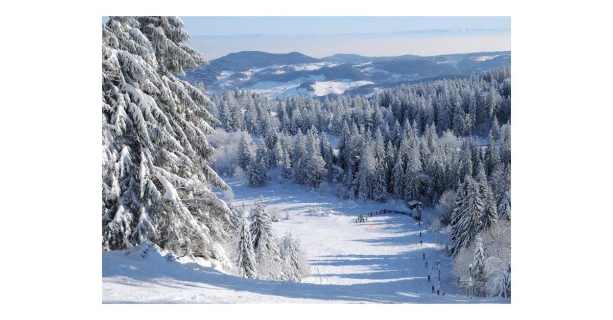 Le Bonhomme Proche De Kaysersberg Et Du Lac Blanc Eksteriør billede